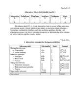 Referāts 'Auto sacensību organizēšana uz ledus', 12.