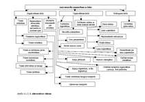 Referāts 'Auto sacensību organizēšana uz ledus', 21.