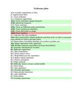 Referāts 'Auto sacensību organizēšana uz ledus', 23.