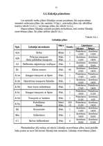 Referāts 'Auto sacensību organizēšana uz ledus', 31.