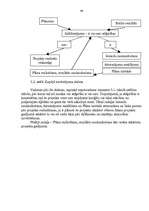 Referāts 'Auto sacensību organizēšana uz ledus', 40.