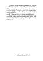 Referāts 'Domāšana divās zinātnēs – psiholoģijā un loģikā', 4.