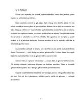 Referāts 'SIA dibināšana: nepieciešamie dokumenti un dibināšanas procesuālā kārtība', 20.