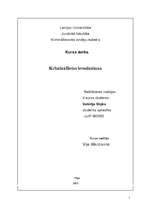 Referāts 'Krimināllietas ierosināšana', 1.