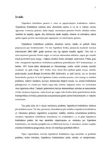 Diplomdarbs 'Mājsaimniecību hipotekārās kreditēšanas problēmas Latvijā', 7.