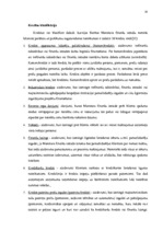 Diplomdarbs 'Mājsaimniecību hipotekārās kreditēšanas problēmas Latvijā', 14.