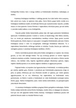 Diplomdarbs 'Mājsaimniecību hipotekārās kreditēšanas problēmas Latvijā', 19.