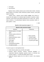 Diplomdarbs 'Mājsaimniecību hipotekārās kreditēšanas problēmas Latvijā', 26.