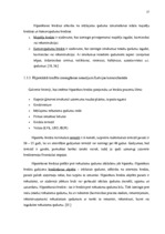 Diplomdarbs 'Mājsaimniecību hipotekārās kreditēšanas problēmas Latvijā', 27.