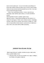 Referāts 'Bērni ar dzirdes traucējumiem', 4.