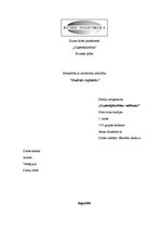 Biznesa plāns 'Sabiedrība ar ierobežotu atbildību "Gudrais ceļinieks"', 1.