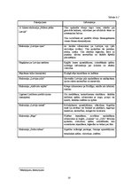 Biznesa plāns 'Sabiedrība ar ierobežotu atbildību "Gudrais ceļinieks"', 10.