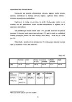 Biznesa plāns 'Sabiedrība ar ierobežotu atbildību "Gudrais ceļinieks"', 19.