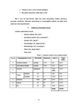 Biznesa plāns 'Sabiedrība ar ierobežotu atbildību "Gudrais ceļinieks"', 24.