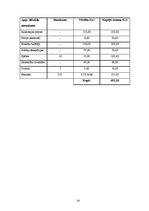 Biznesa plāns 'Sabiedrība ar ierobežotu atbildību "Gudrais ceļinieks"', 26.