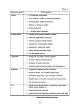 Biznesa plāns 'Sabiedrība ar ierobežotu atbildību "Gudrais ceļinieks"', 28.