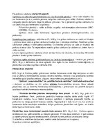 Konspekts 'Prokūra un parastā komercpilnvara', 2.