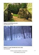 Referāts 'Liepas pagasta Lielā un Mazā Ellīte - tūrisma piesaistes objekti', 14.