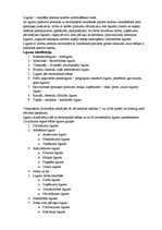 Konspekts 'Saistību tiesības', 3.
