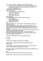 Konspekts 'Saistību tiesības', 4.