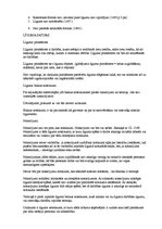 Konspekts 'Saistību tiesības', 6.