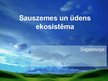 Prezentācija 'Sauszemes un ūdens ekosistēma', 1.