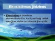 Prezentācija 'Sauszemes un ūdens ekosistēma', 2.