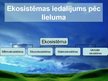 Prezentācija 'Sauszemes un ūdens ekosistēma', 3.
