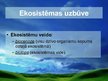 Prezentācija 'Sauszemes un ūdens ekosistēma', 5.