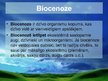 Prezentācija 'Sauszemes un ūdens ekosistēma', 7.