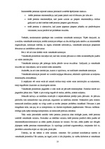 Referāts 'Tiesiskās kvalifikācijas problēmas juridiskās lietās', 18.