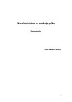 Referāts 'Kreatīna ietekme uz muskuļu spēku', 1.