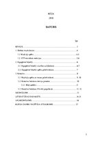 Referāts 'Kreatīna ietekme uz muskuļu spēku', 2.