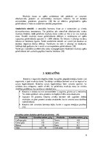 Referāts 'Kreatīna ietekme uz muskuļu spēku', 8.