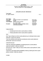 Paraugs 'Atskaites sapulces protokols', 1.