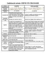 Konspekts 'Cietes un celulozes salīdzinājums', 1.