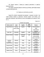 Biznesa plāns 'SIA "Fashion"', 29.