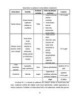 Biznesa plāns 'SIA "Fashion"', 36.