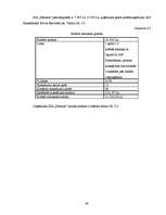 Biznesa plāns 'SIA "Fashion"', 39.