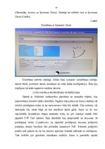 Prakses atskaite 'IT administratora prakses atskaite', 10.