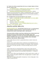 Konspekts 'Sintakse', 5.