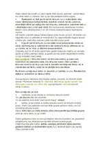 Konspekts 'Sintakse', 8.