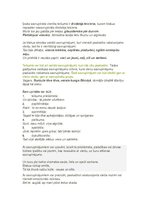 Konspekts 'Sintakse', 9.