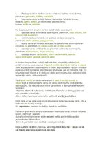 Konspekts 'Sintakse', 17.