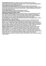 Konspekts 'Grāmatvedībā lietotie termini, skaidrojumi', 2.