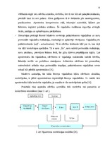 Diplomdarbs 'Skolēnu pašizpausmes motivācija projektu nedēļā', 13.