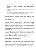 Diplomdarbs 'Skolēnu pašizpausmes motivācija projektu nedēļā', 16.