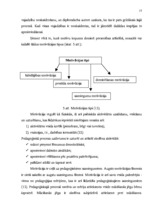 Diplomdarbs 'Skolēnu pašizpausmes motivācija projektu nedēļā', 17.