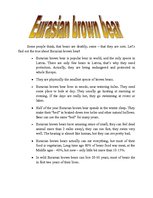 Konspekts 'Eurasian Brown Bear', 1.