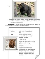 Konspekts 'Eurasian Brown Bear', 2.